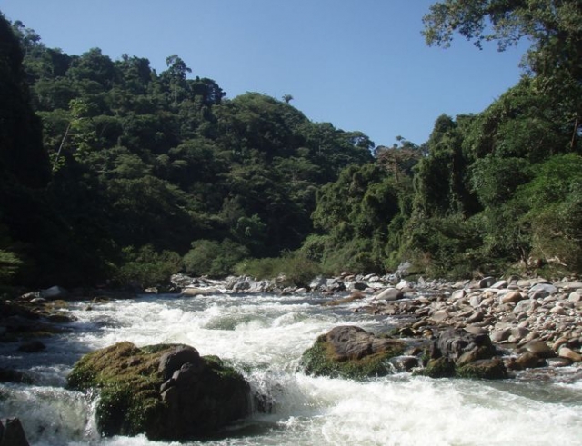  Landscape Feel Raft